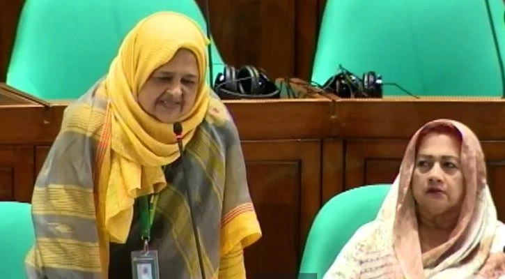 সংসদে ইলিয়াস আলীর খোঁজ চাইলেন স্ত্রী লুনা, গুমের বিচার দাবি